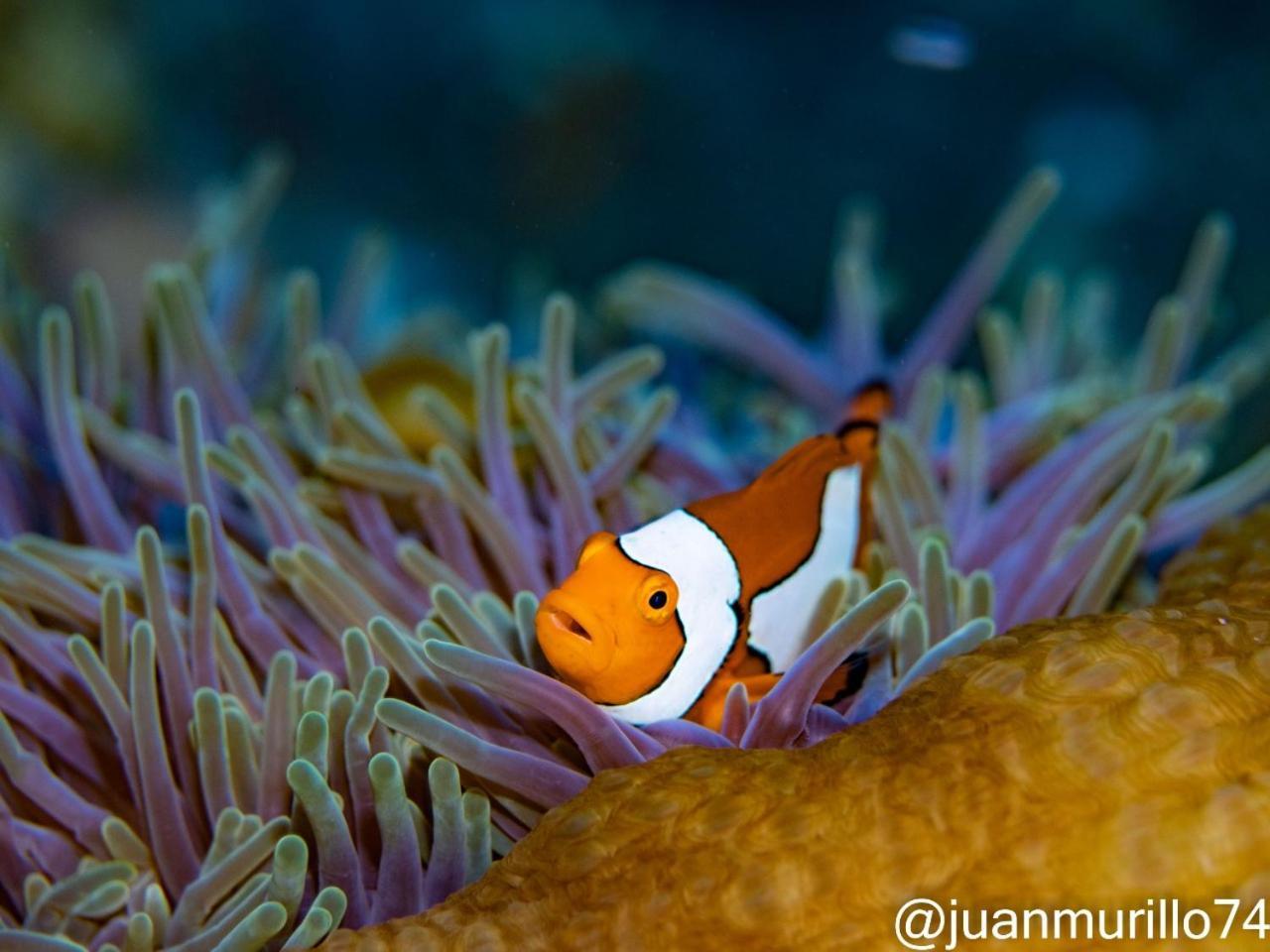 Marind Dive Eco Resort Waha Exteriér fotografie